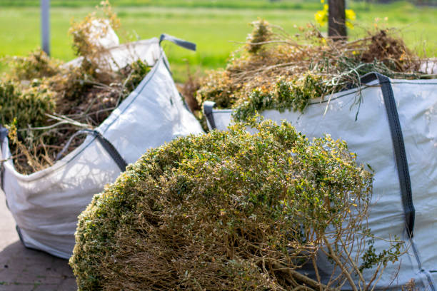 Best Affordable Junk Removal Services  in Clarkdale, AZ
